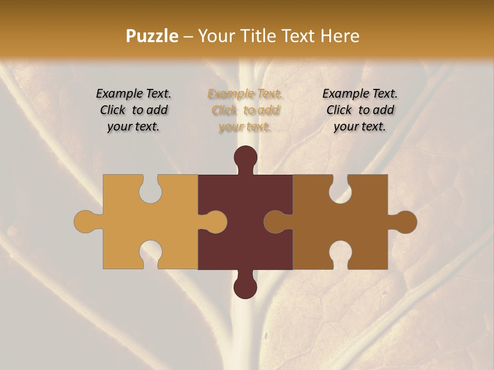 Nature Lounge PowerPoint Template