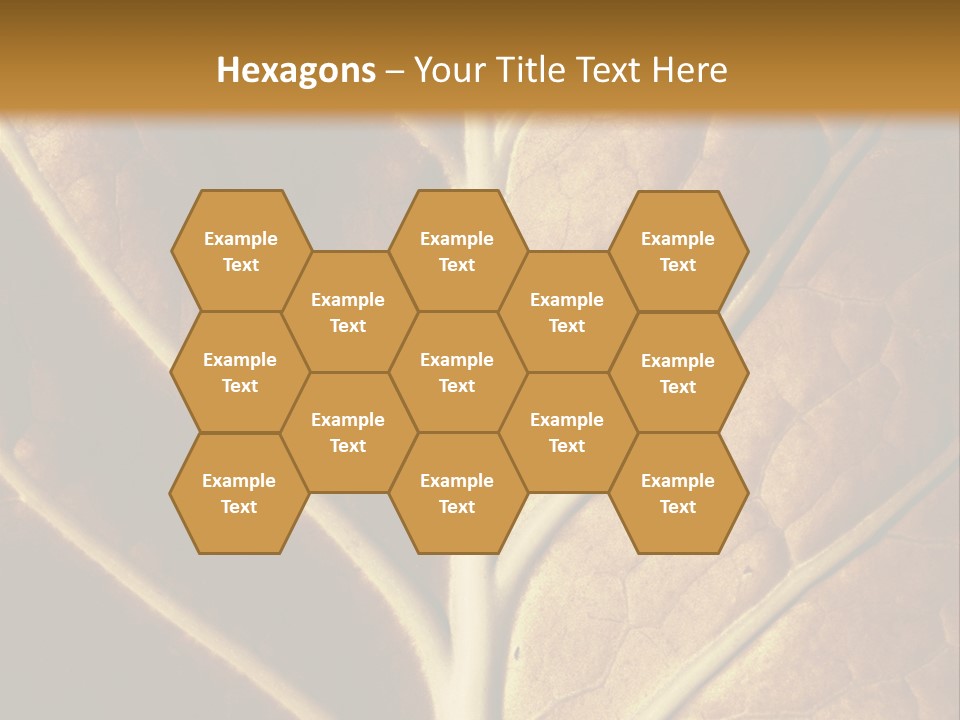 Nature Lounge PowerPoint Template