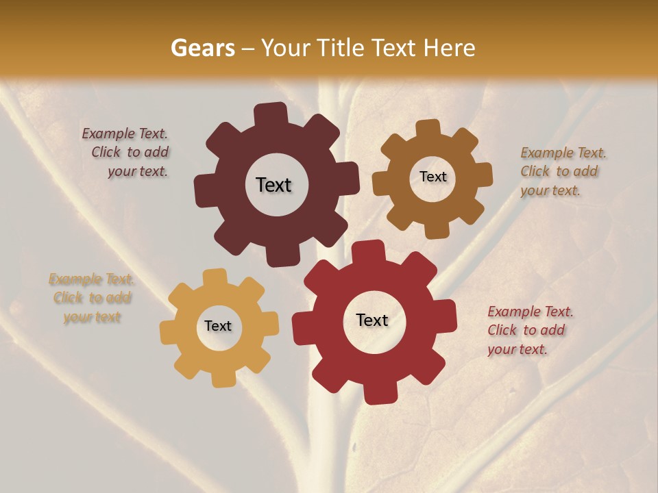 Nature Lounge PowerPoint Template