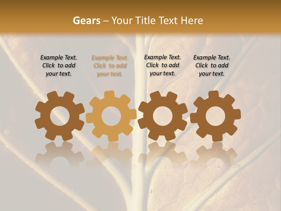 Nature Lounge PowerPoint Template