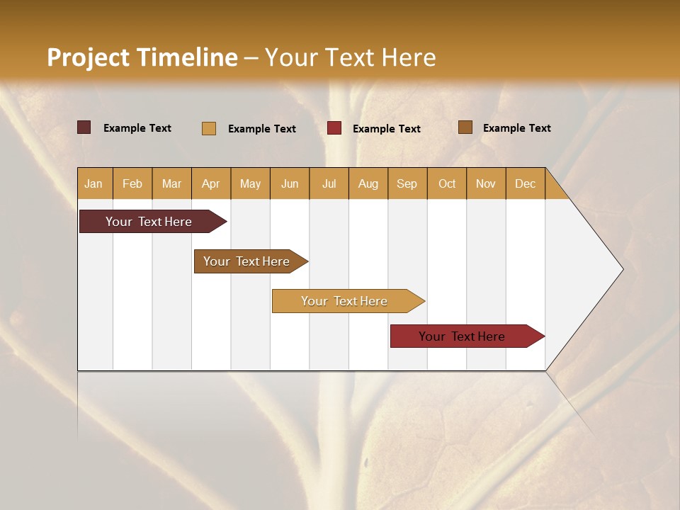 Nature Lounge PowerPoint Template