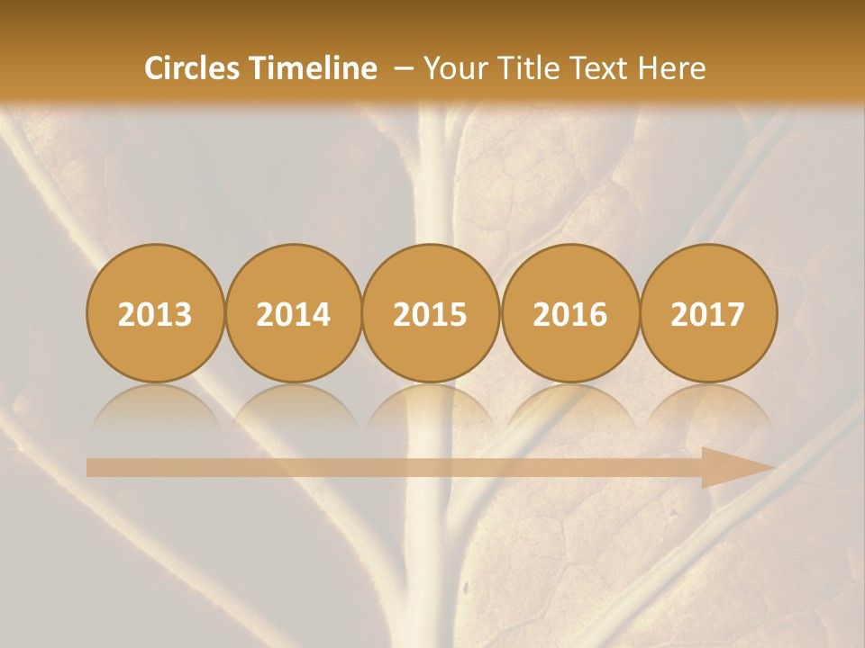 Nature Lounge PowerPoint Template