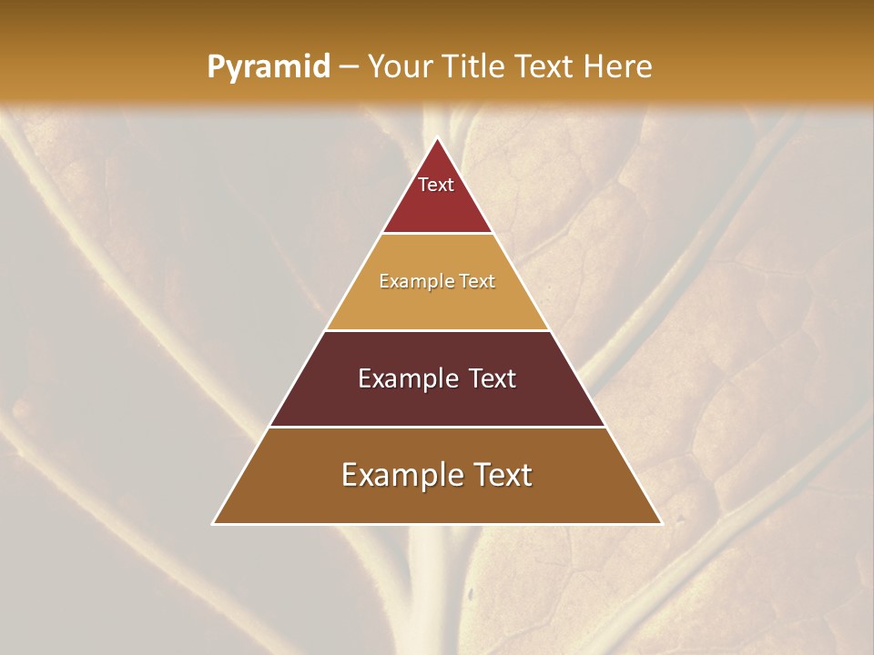 Nature Lounge PowerPoint Template