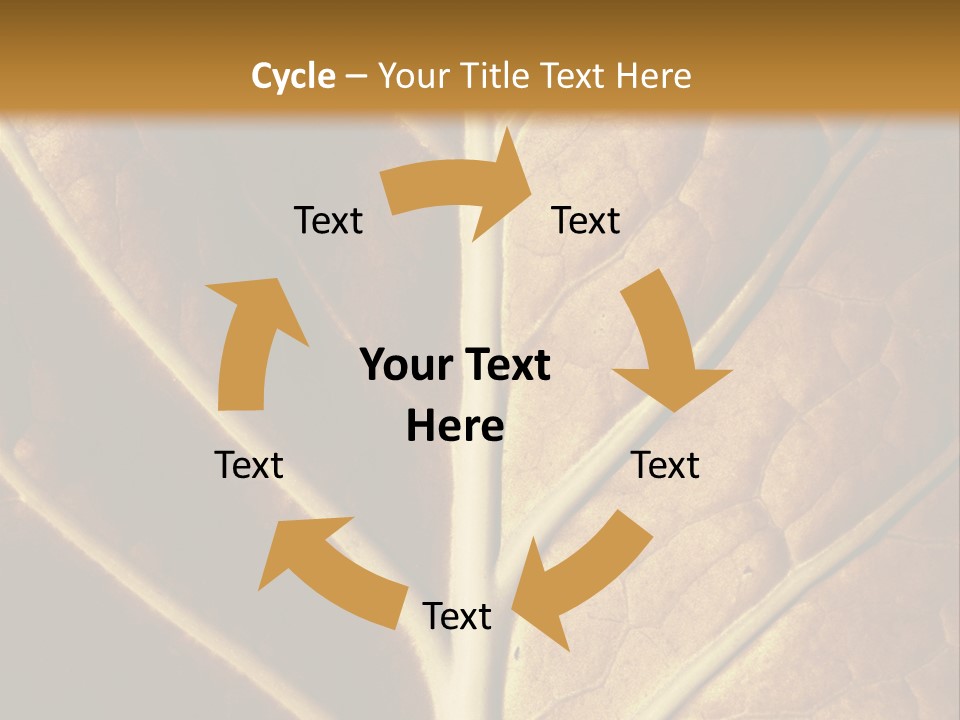 Nature Lounge PowerPoint Template
