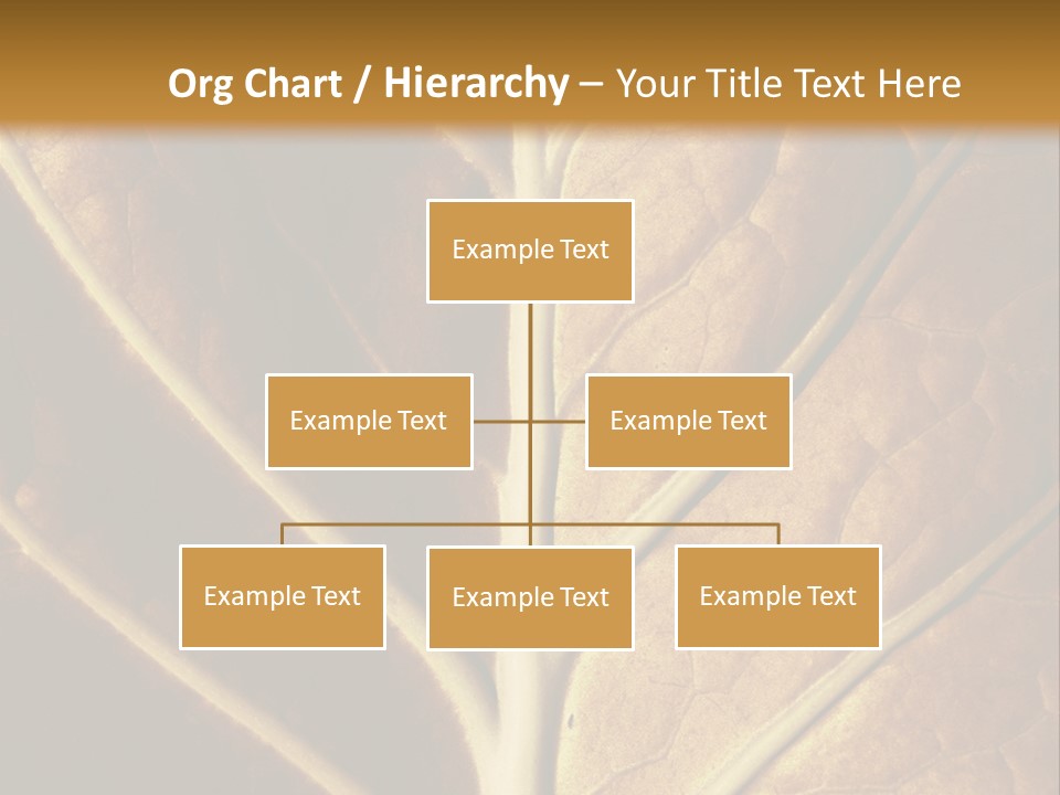 Nature Lounge PowerPoint Template