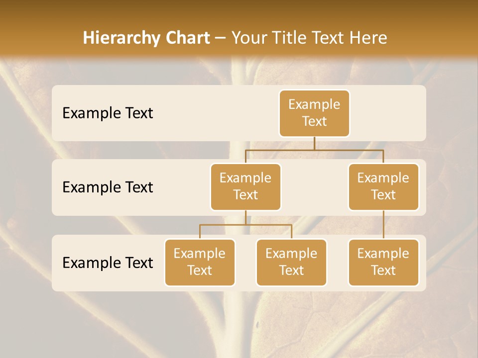 Nature Lounge PowerPoint Template