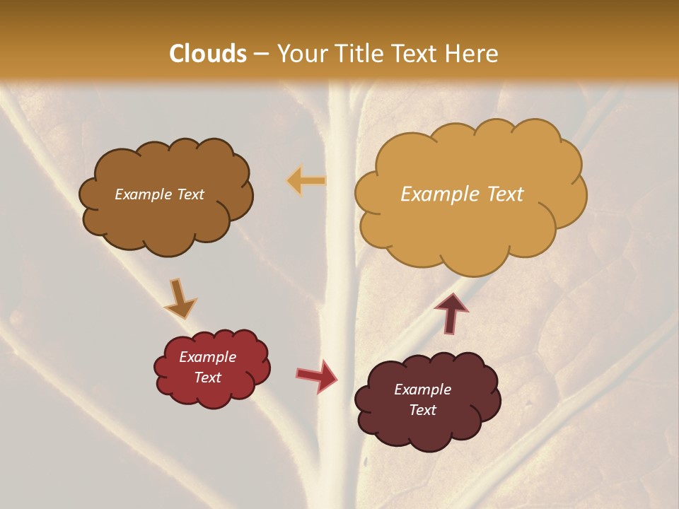 Nature Lounge PowerPoint Template