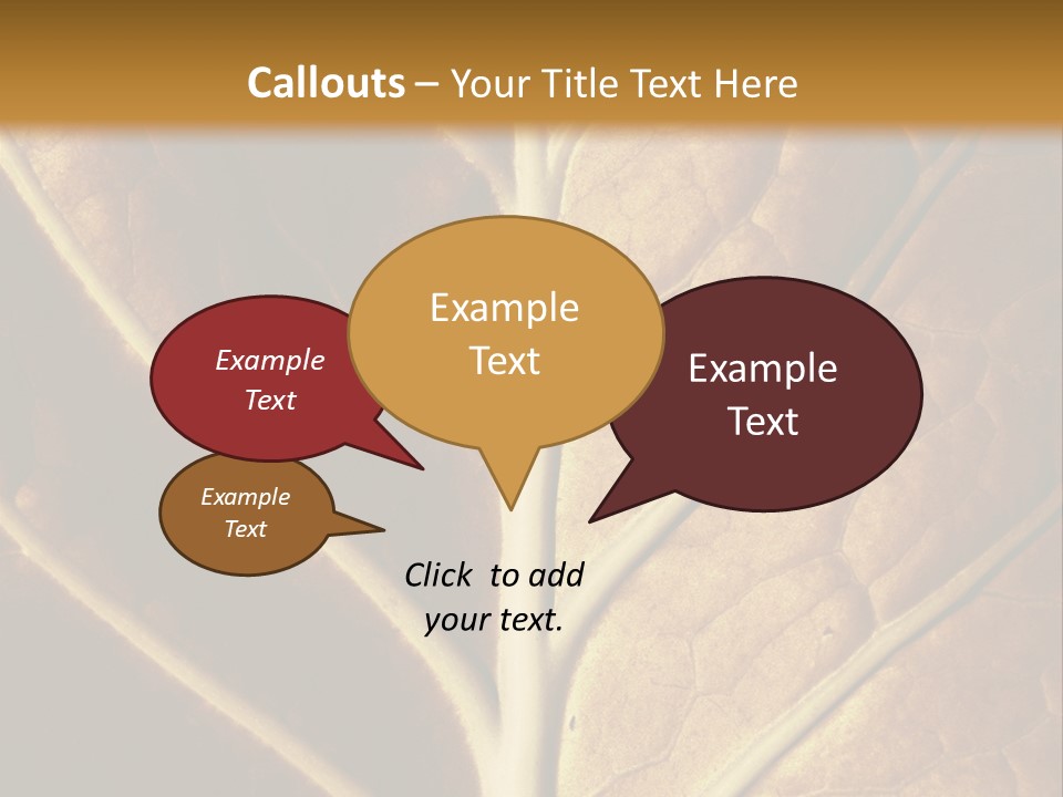 Nature Lounge PowerPoint Template