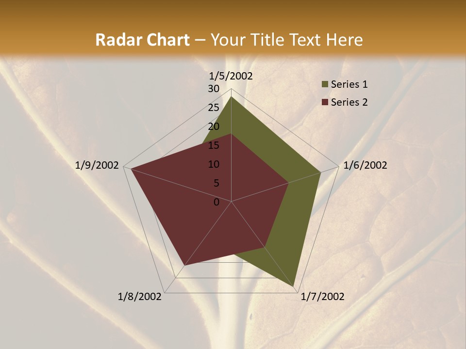 Nature Lounge PowerPoint Template