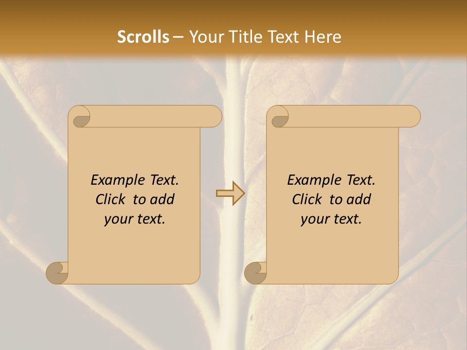 Nature Lounge PowerPoint Template
