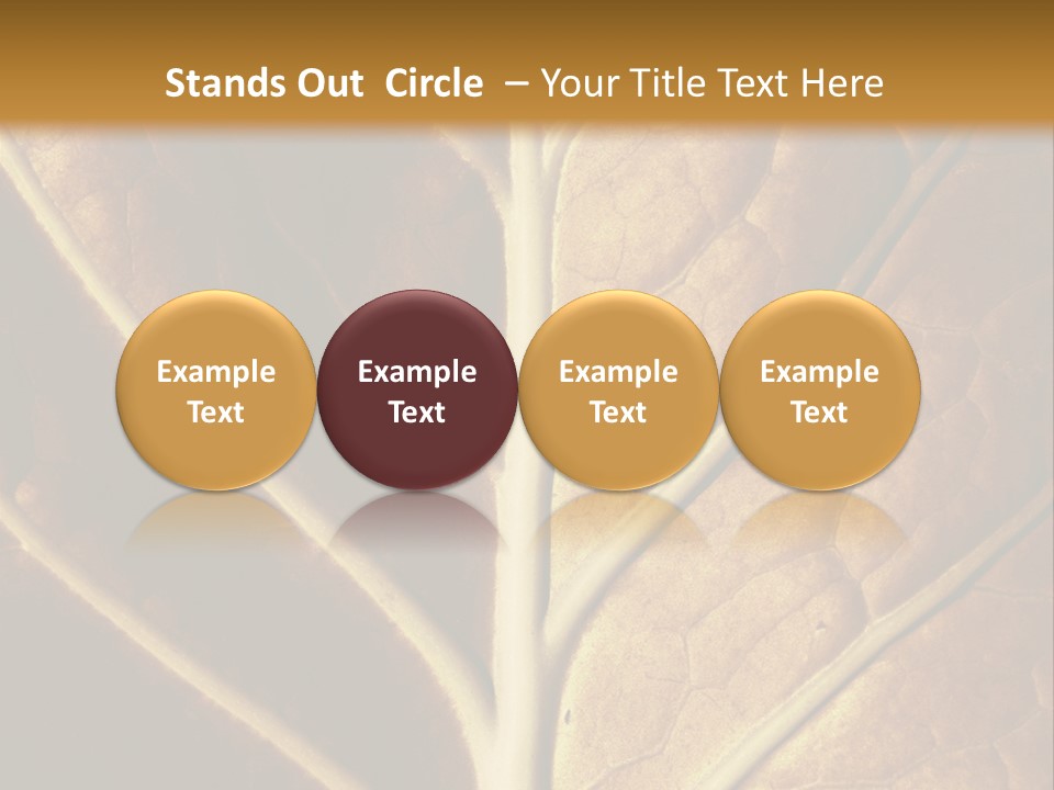 Nature Lounge PowerPoint Template