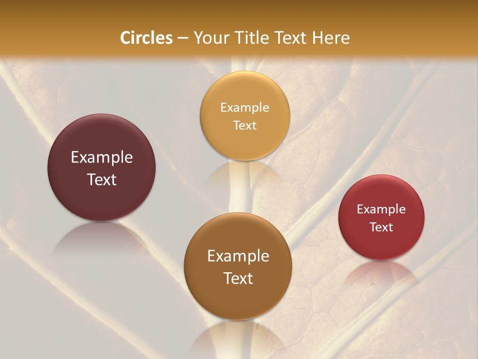 Nature Lounge PowerPoint Template