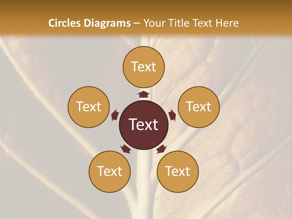 Nature Lounge PowerPoint Template