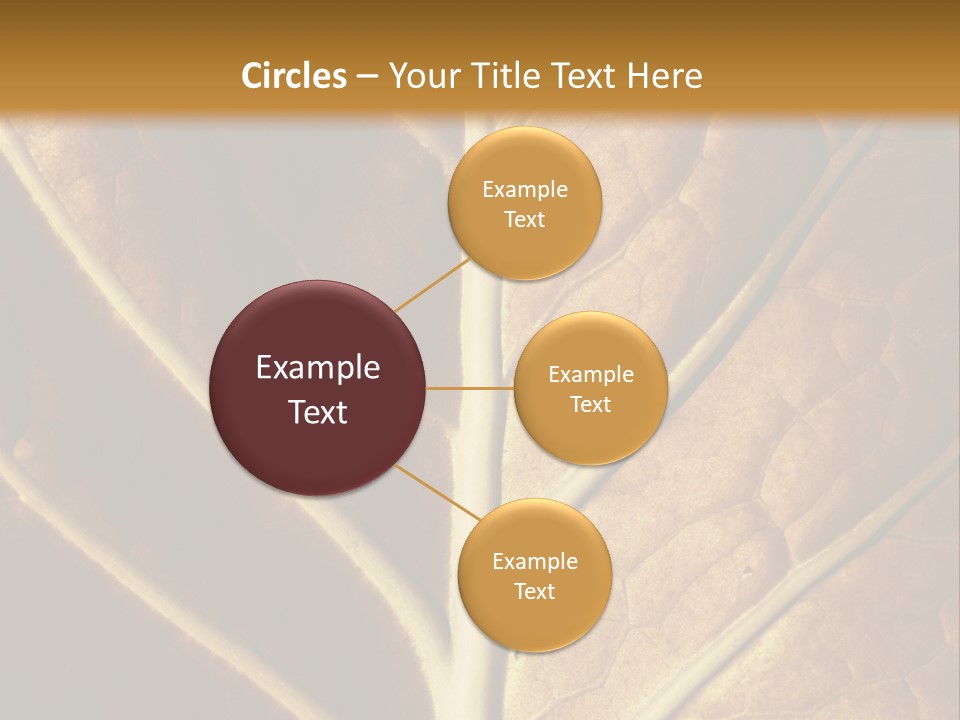 Nature Lounge PowerPoint Template