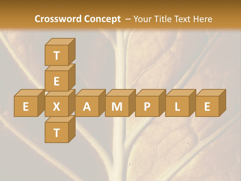 Nature Lounge PowerPoint Template