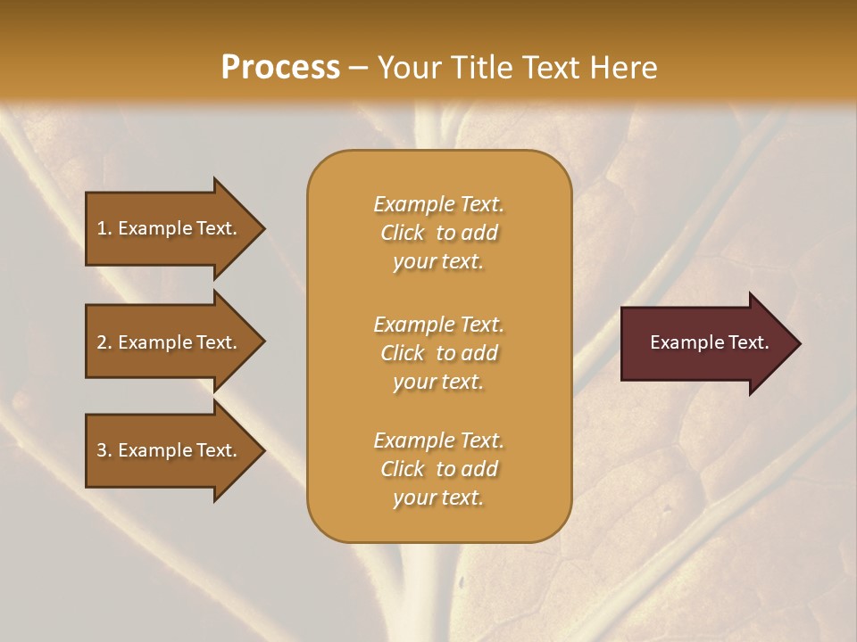 Nature Lounge PowerPoint Template