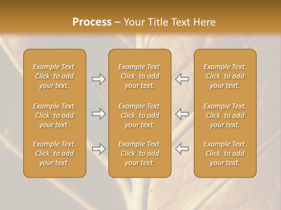 Nature Lounge PowerPoint Template