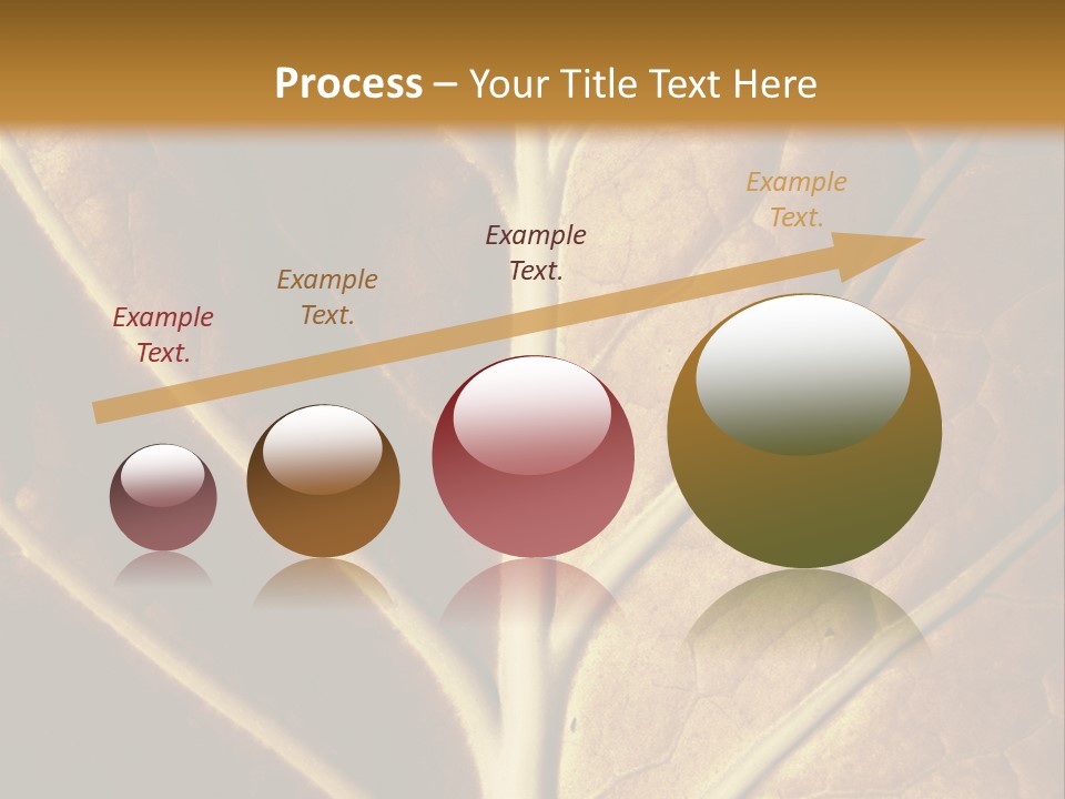 Nature Lounge PowerPoint Template