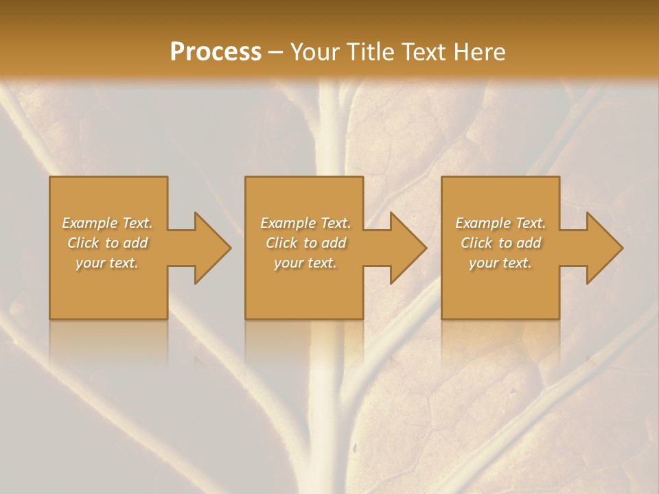Nature Lounge PowerPoint Template