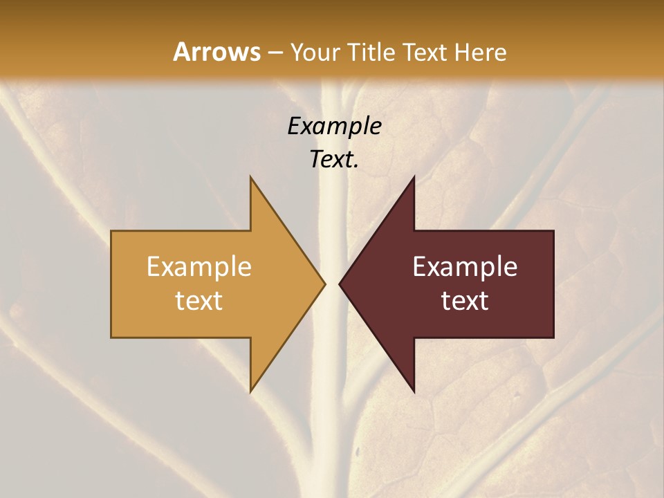 Nature Lounge PowerPoint Template