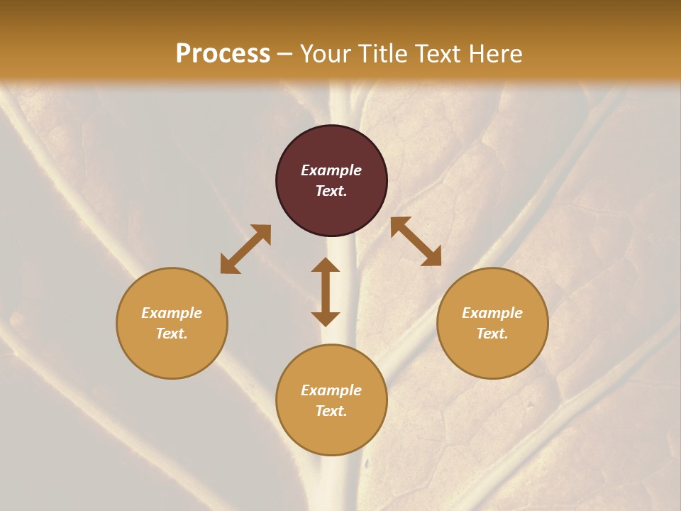 Nature Lounge PowerPoint Template