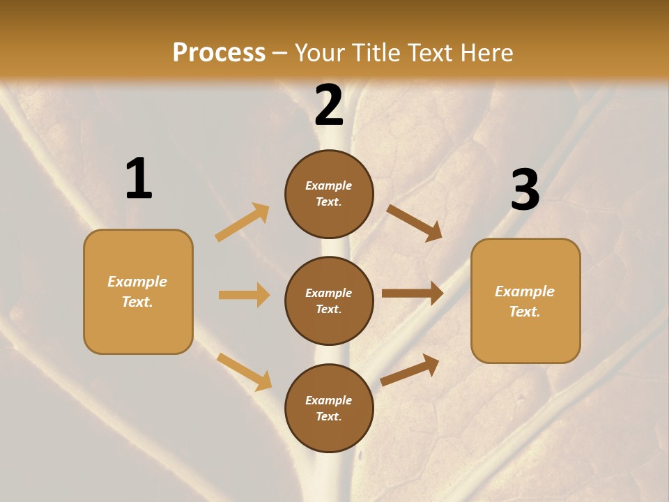 Nature Lounge PowerPoint Template