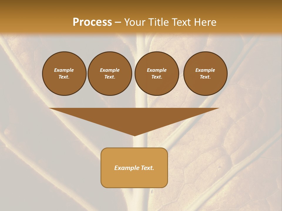 Nature Lounge PowerPoint Template