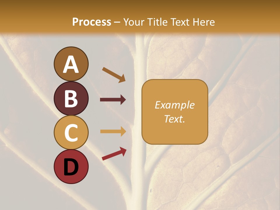 Nature Lounge PowerPoint Template