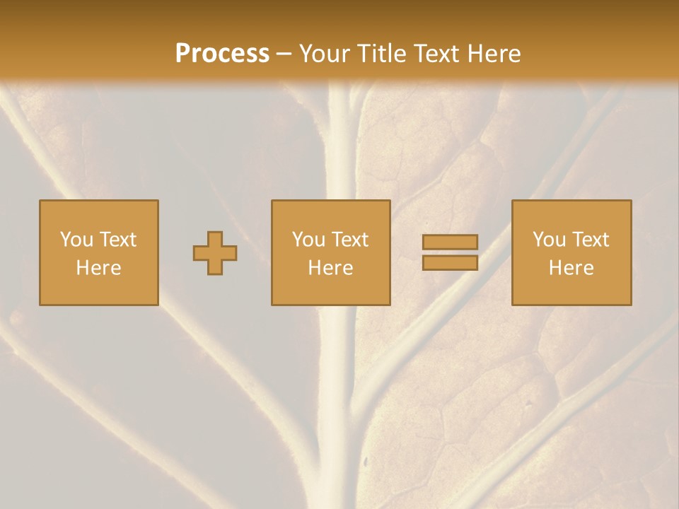 Nature Lounge PowerPoint Template