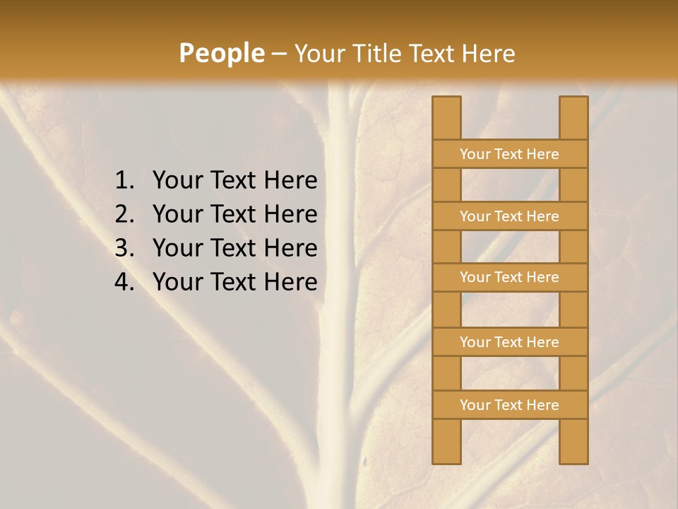 Nature Lounge PowerPoint Template