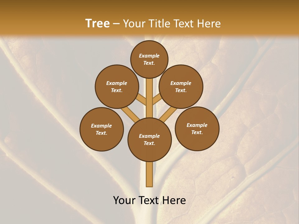 Nature Lounge PowerPoint Template