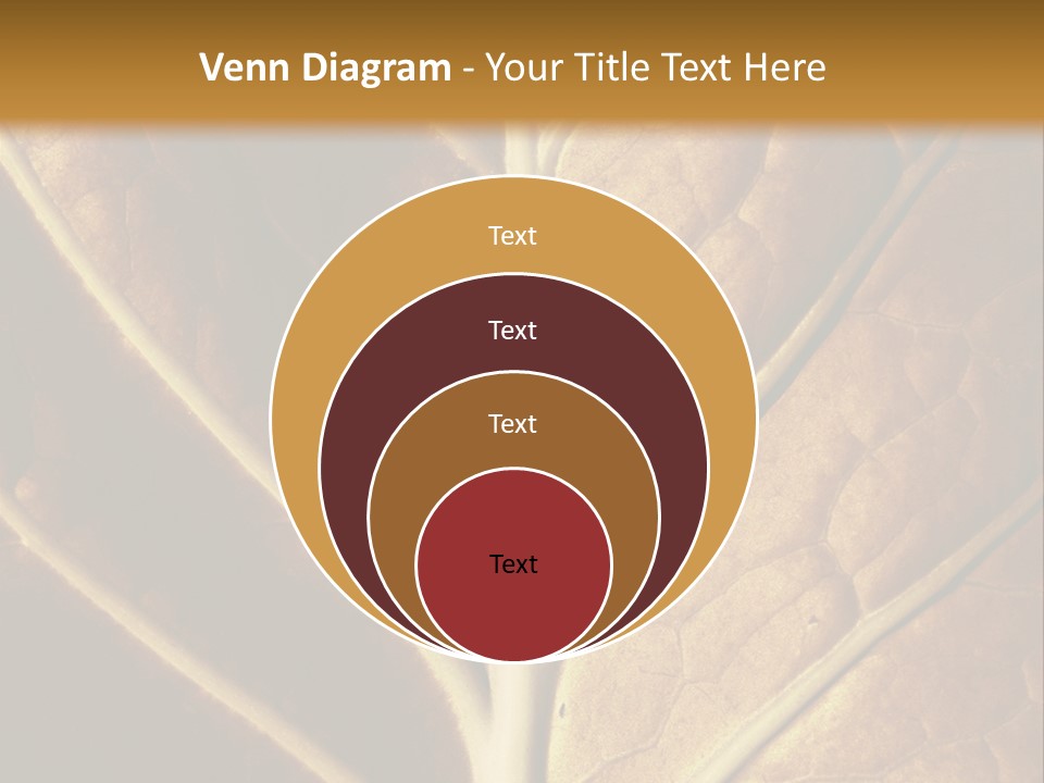 Nature Lounge PowerPoint Template