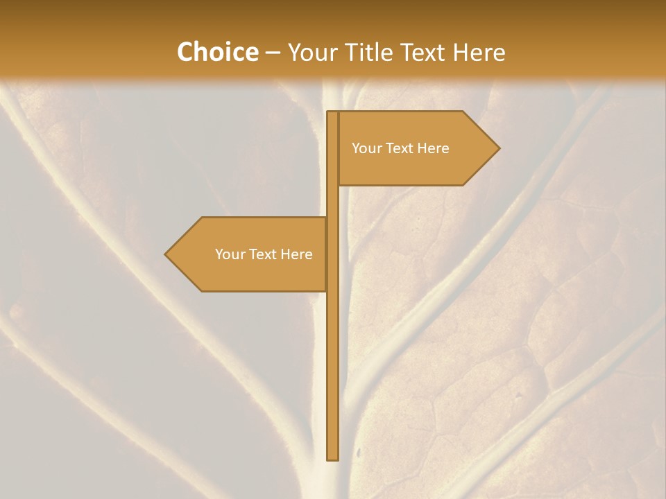 Nature Lounge PowerPoint Template