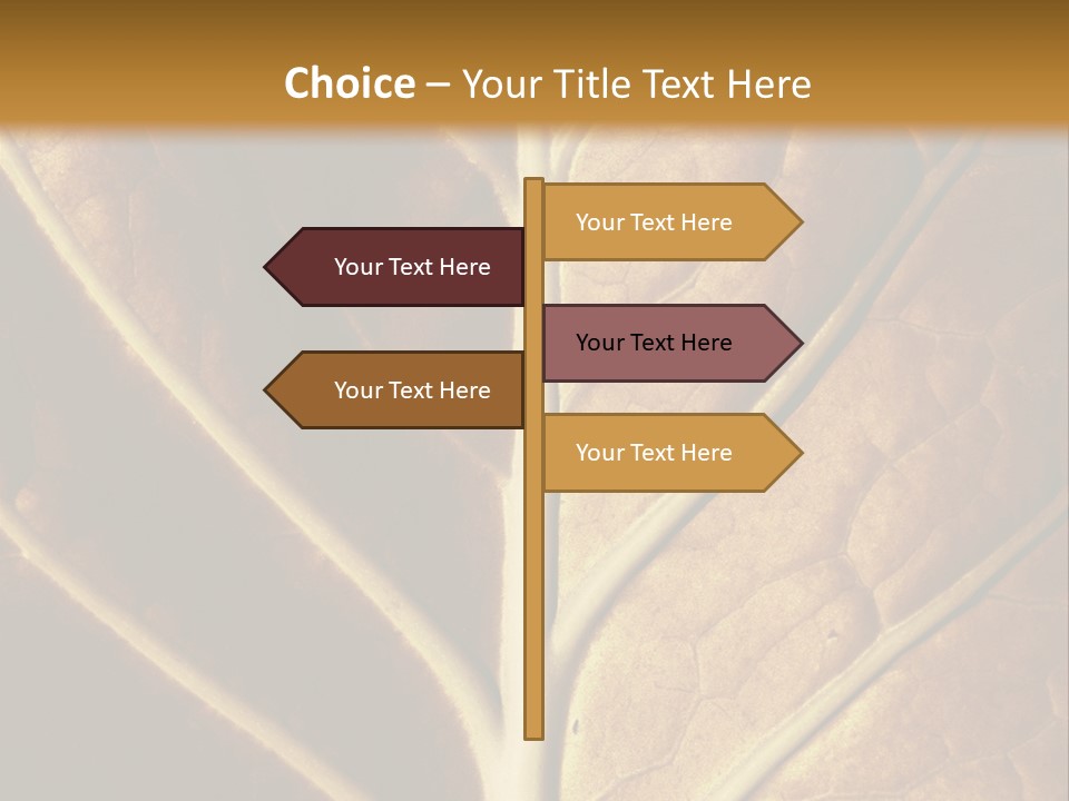 Nature Lounge PowerPoint Template