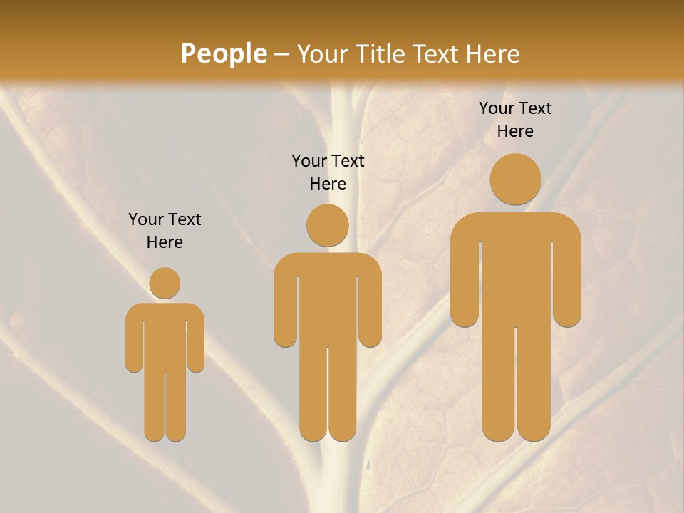 Nature Lounge PowerPoint Template