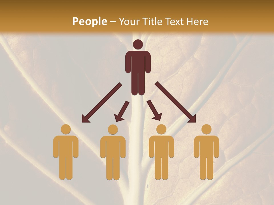 Nature Lounge PowerPoint Template