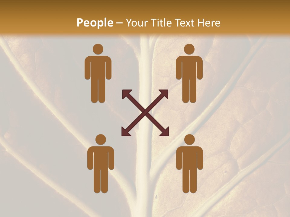 Nature Lounge PowerPoint Template