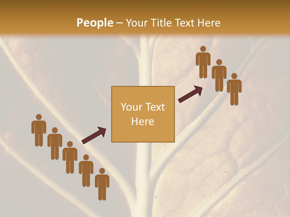 Nature Lounge PowerPoint Template