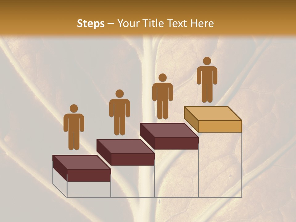 Nature Lounge PowerPoint Template