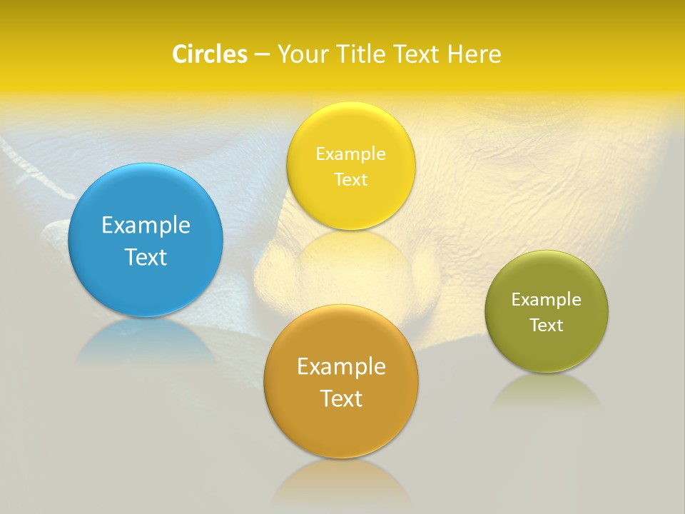 Facial Paint Evil PowerPoint Template