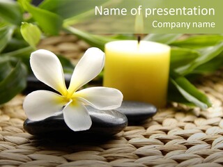 Desktop Spa PowerPoint Template