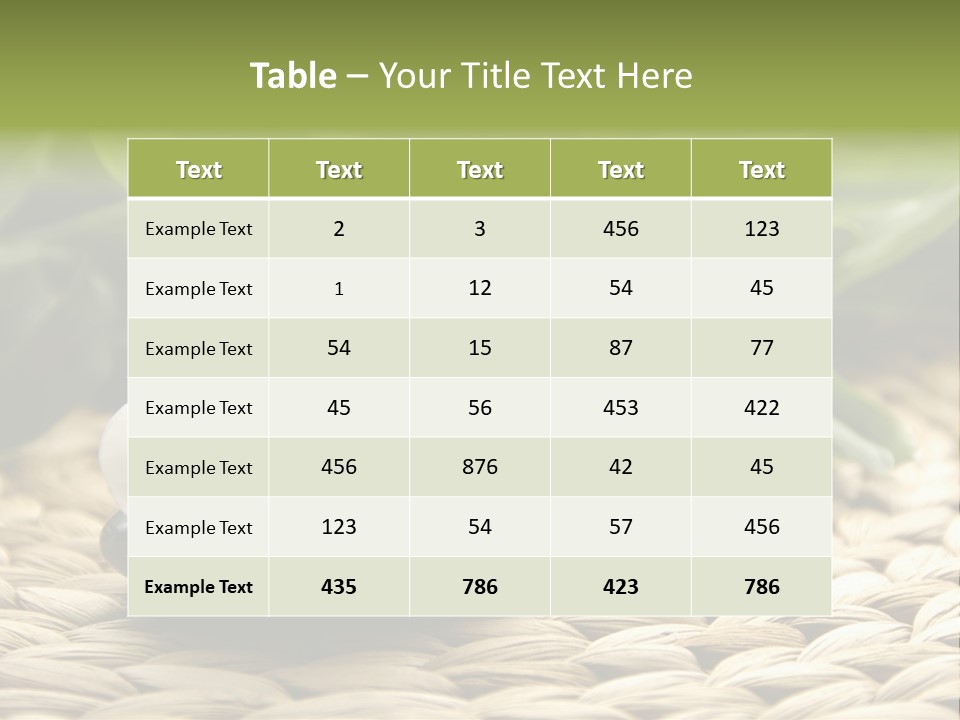 Desktop Spa PowerPoint Template