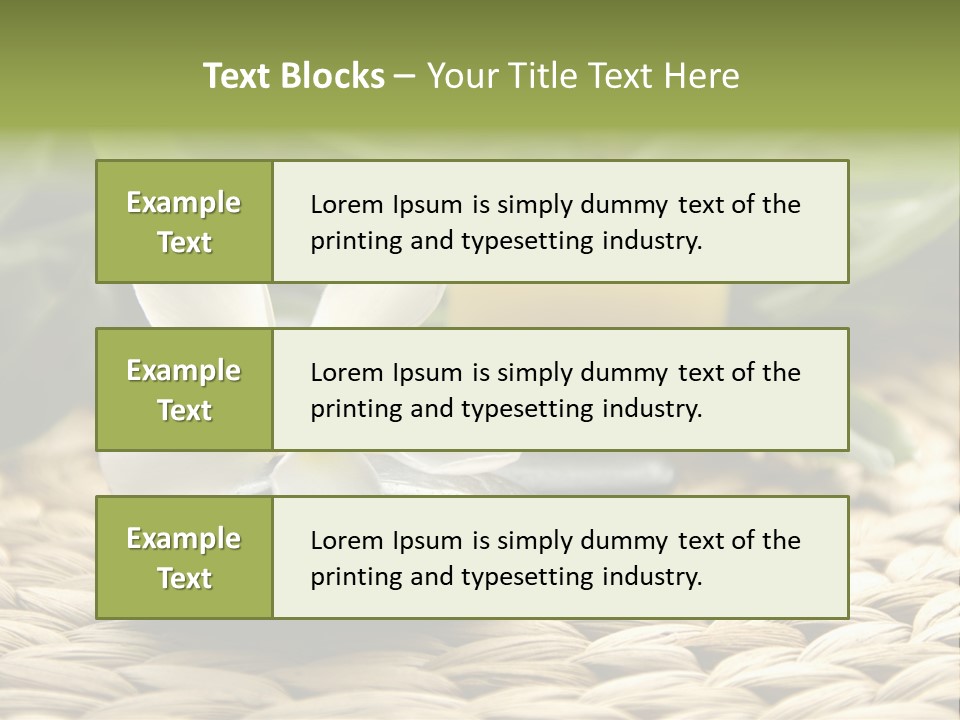 Desktop Spa PowerPoint Template