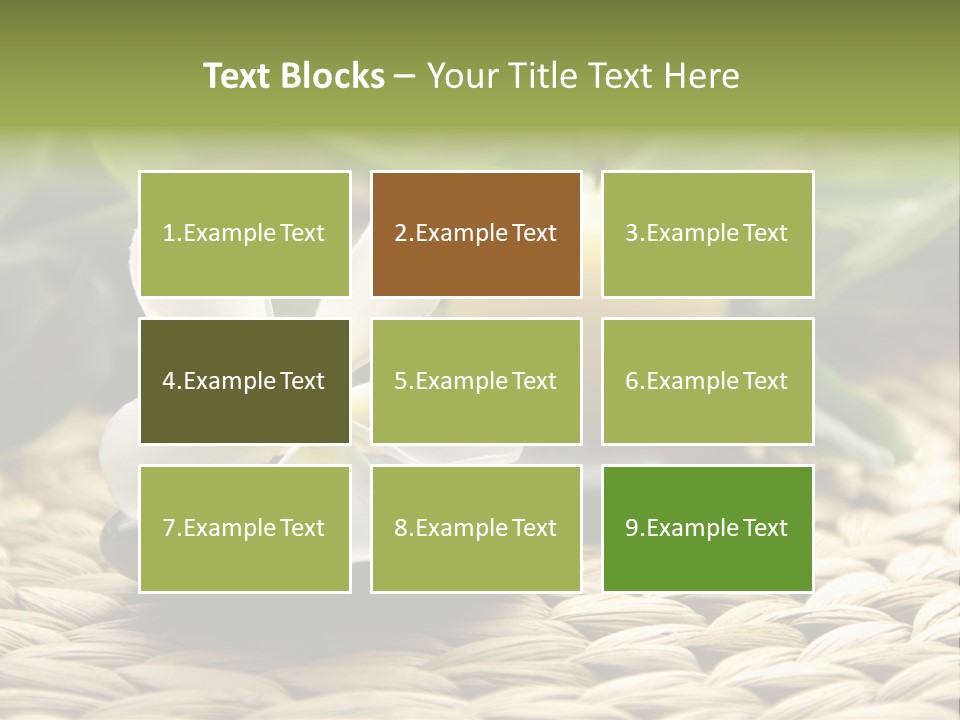 Desktop Spa PowerPoint Template