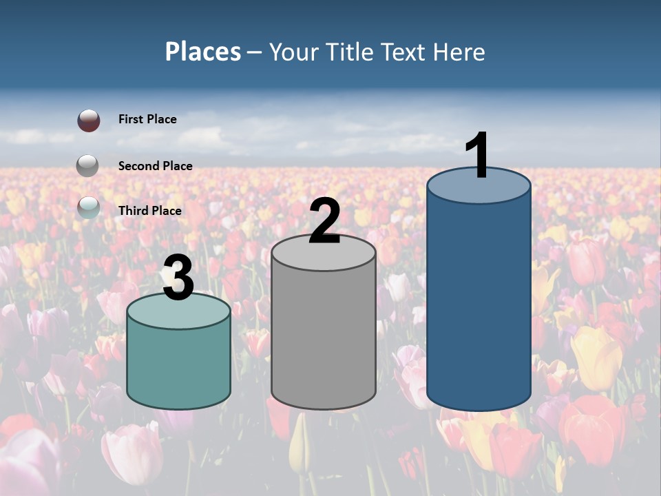 Field Of Tulips PowerPoint Template