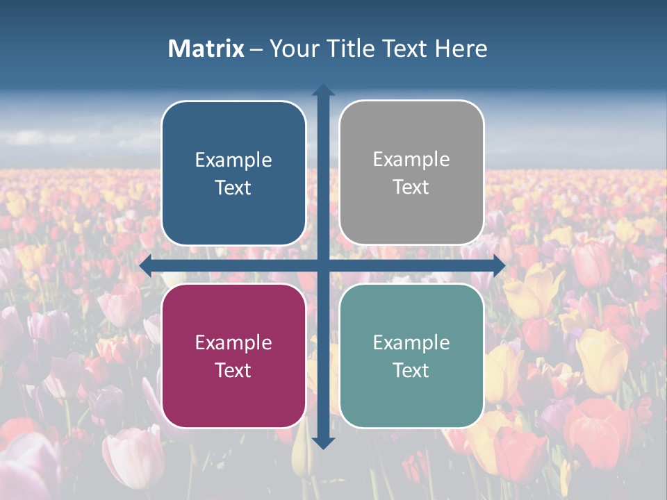 Field Of Tulips PowerPoint Template