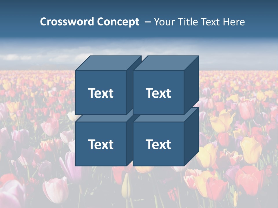 Field Of Tulips PowerPoint Template