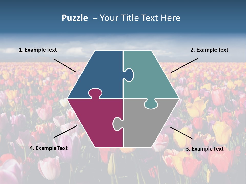 Field Of Tulips PowerPoint Template