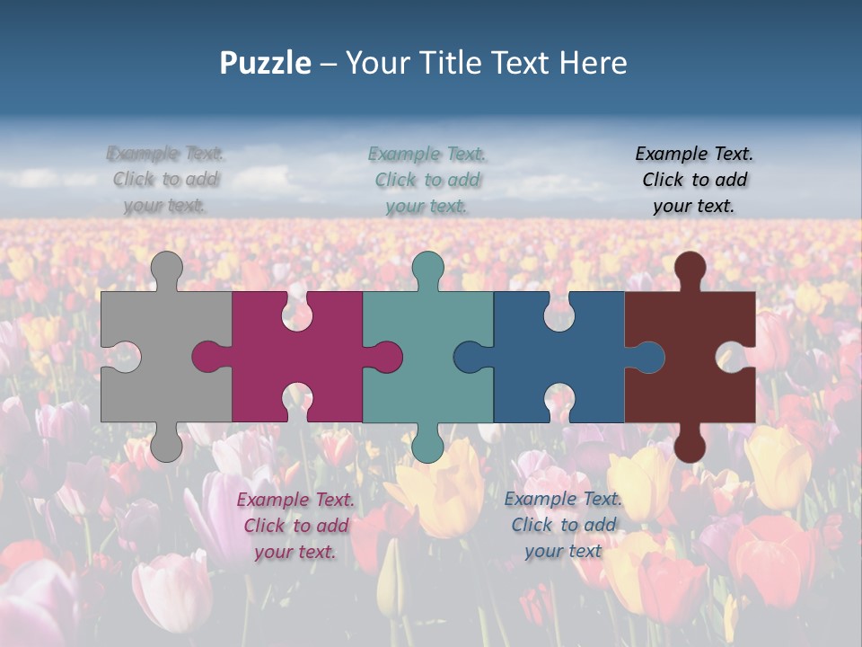 Field Of Tulips PowerPoint Template