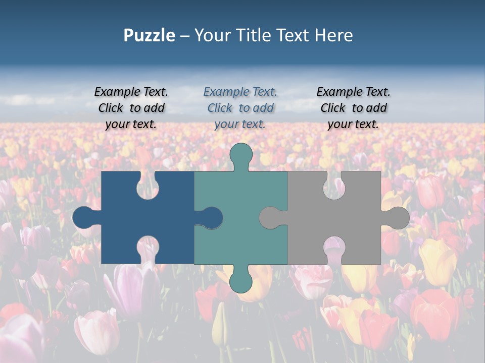 Field Of Tulips PowerPoint Template